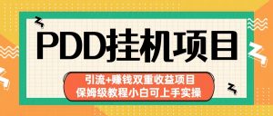 拼多多挂机项目 引流+赚钱双重收益项目(保姆级教程小白可上手实操)-卿云社
