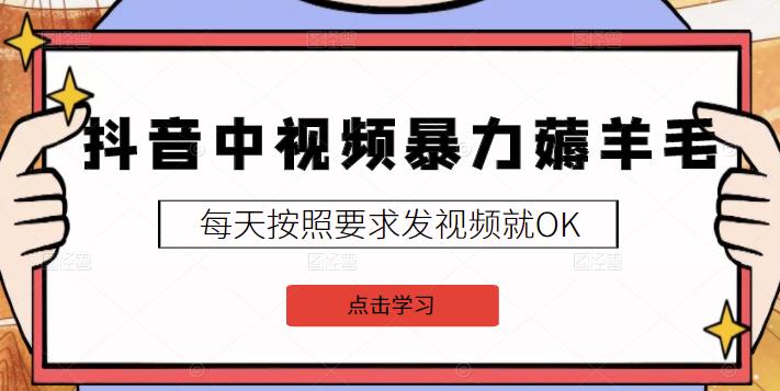 2022抖音中视频暴力薅羊毛白嫖项目：新号每天20块，老号几天几百块，可多号￼-卿云社