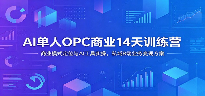AI单人OPC商业14天训练营：商业模式定位与AI工具实操，私域B端业务变现方案-卿云社