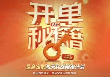 天下网商·淘宝天猫陪跑计划(更新7月)-卿云社