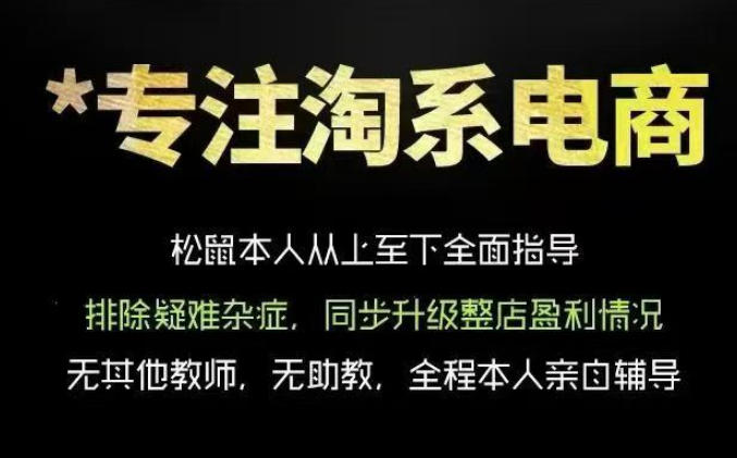 松鼠会电商VIP课程，从基础布局到高阶优化，助你掌握淘宝运营逻辑，提升店铺流量与转化(更新0823)-卿云社