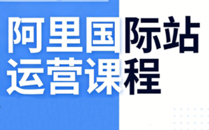 张国儒·阿里国际站运营课程(更新7月)-卿云社