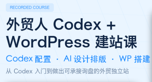 大卫·外贸人Codex + WordPress建站课(更新8月)-卿云社