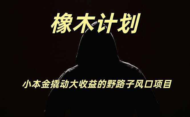 橡木计划，小投入撬动高回报的风口野路子项目，一天投入2小时左右-卿云社