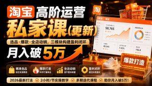 淘宝高阶运营私家课(更新26年-卿云社