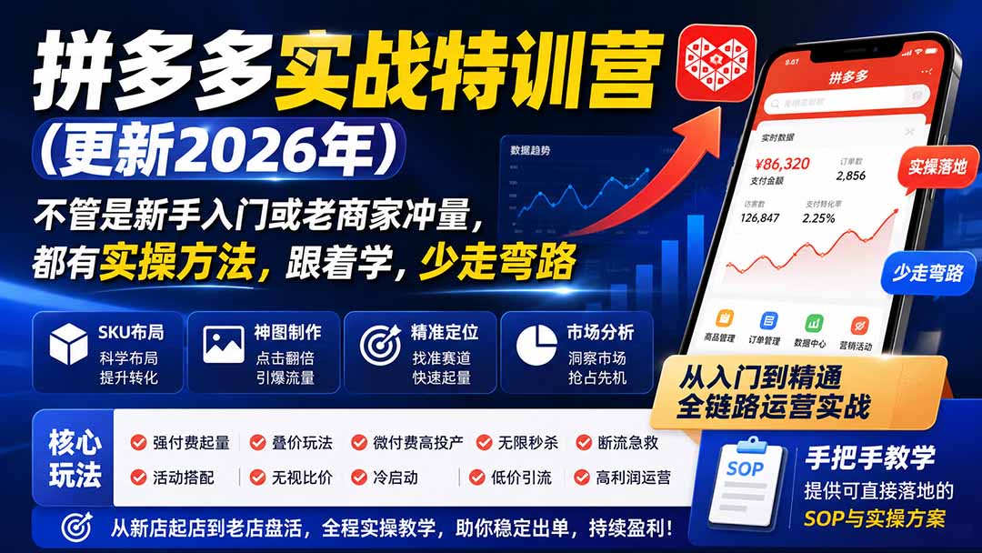 拼多多实战特训营(更新26年0827-卿云社