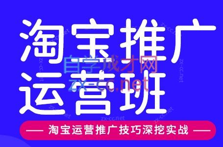美迪电商·淘宝高级运营班+推广运营班(更新10月)-卿云社