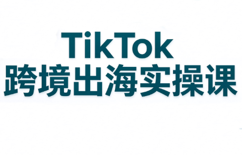 彭老师·TikTok跨境出海实操课-卿云社