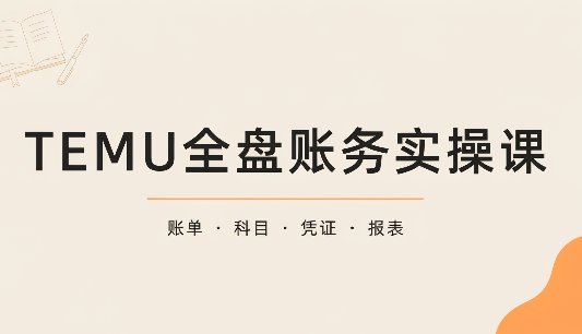 TEMU全盘账务实操课:账单导出、科目设置、利润核算-卿云社