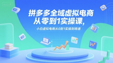 拼多多全域虚拟电商从零到1实操课，小白虚拟电商从0到1实操到精通-卿云社