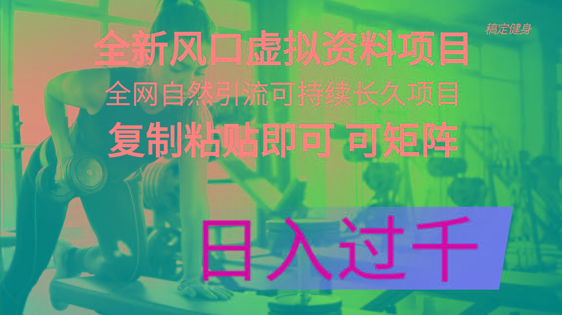 全新风口虚拟资料项目 全网自然引流可持续长久项目 复制粘贴即可可矩阵…-卿云社