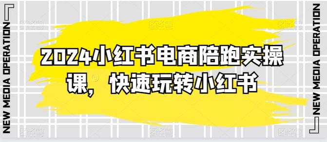 2024小红书电商陪跑实操课，快速玩转小红书，超过20节精细化课程-卿云社