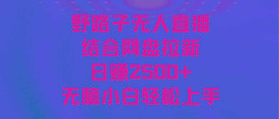 无人直播野路子结合网盘拉新，日赚2500+多平台变现，小白无脑轻松上手操作-卿云社