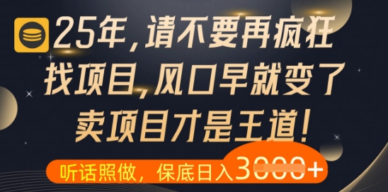 什么？25年你还在疯狂找项目做，醒醒吧，看完这些你全都懂了【揭秘】-卿云社