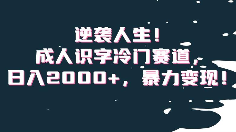 逆袭人生！成人识字冷门赛道，日入2000+，暴力变现！【揭秘】-卿云社