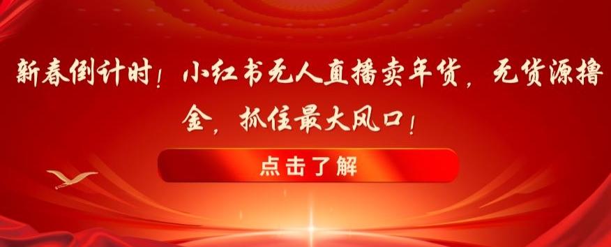 新春倒计时！小红书无人直播卖年货，无货源撸金，抓住最大风口【揭秘】-卿云社