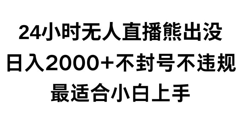 快手24小时无人直播熊出没，不封直播间，不违规，日入2000+，最适合小白上手，保姆式教学【揭秘】-卿云社