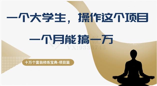 十万个富翁修炼宝典之4.一个大学生操作这个项目，一个月能搞一万-卿云社