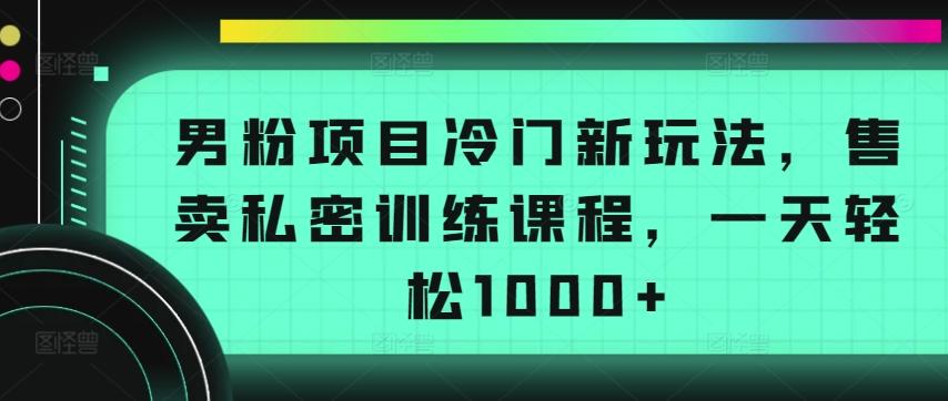 男粉项目冷门新玩法，售卖私密训练课程，一天轻松1000+【揭秘】-卿云社