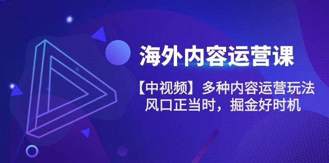 海外内容 运营课【中视频】多种内容运营玩法 风口正当时 掘金好时机-101节-卿云社