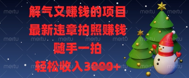 解气又挣钱的项目，最新违章拍照挣钱，随手一拍，轻松收入数张【揭秘】-卿云社