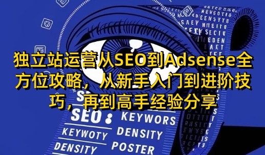 独立站运营从SEO到Adsense全方位攻略，从新手入门到进阶技巧，再到高手经验分享-卿云社