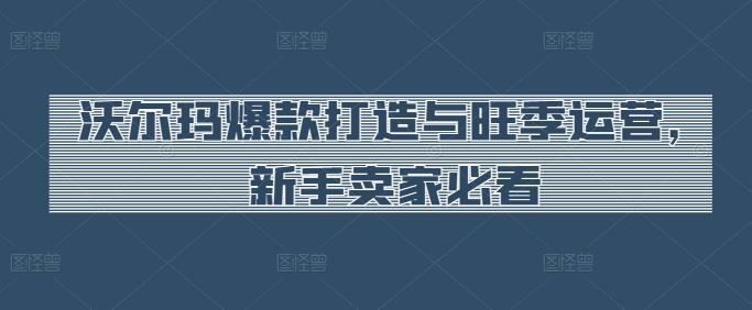 沃尔玛爆款打造与旺季运营，新手卖家必看-卿云社