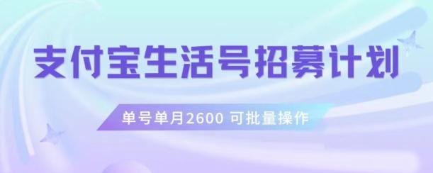 支付宝生活号作者招募计划，单号单月2600，可批量去做，工作室一人一个月轻松1w+【揭秘】-卿云社