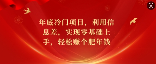 年底冷门项目，利用信息差，实现零基础上手，轻松赚个肥年钱【揭秘】-卿云社