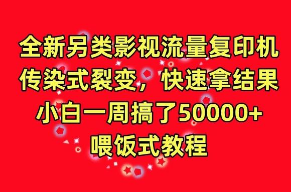 全新另类影视流量复印机，传染式裂变，快速拿结果，小白一周搞了50000+，喂饭式教程【揭秘】-卿云社