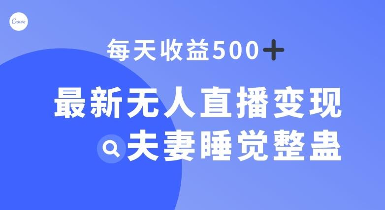 最新无人直播变现，夫妻睡觉整蛊，每天躺赚500+【揭秘】-卿云社