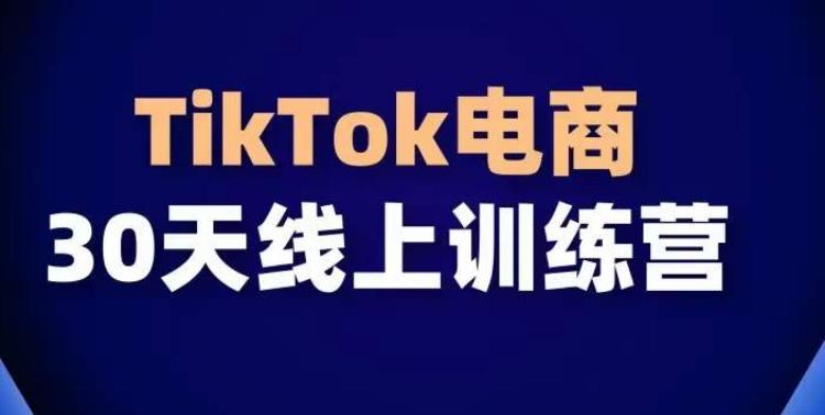 TikTok电商带货30天线上课，不可错过的全球流量洼地！-卿云社