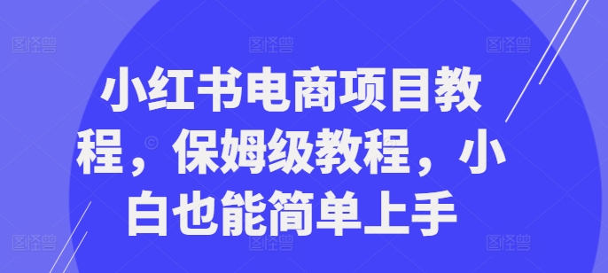 小红书电商项目教程，保姆级教程，小白也能简单上手-卿云社