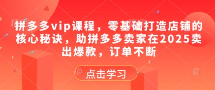 拼多多vip课程，零基础打造店铺的核心秘诀，助拼多多卖家在2025卖出爆款，订单不断-卿云社