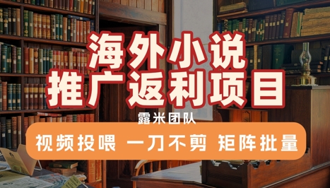 海外小说推广返利项目，视频投喂， 一刀不剪，矩阵批量-卿云社