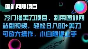 冷门撸美刀项目，利用国外网站刷视频，轻松日入80+美刀，可放大操作，小白随便上手-卿云社