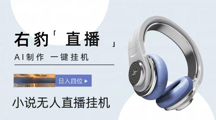 右豹小说无人直播挂机吸金项目，简单易行收益稳定， 月入1000+-卿云社