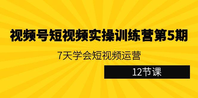 视频号短视频实操训练营第5期：7天学会短视频运营(12节课)-卿云社