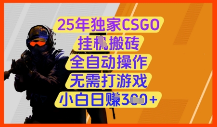 25年独家CSGO挂G搬砖，全自动操作，无需打游戏，小白日入3张+【揭秘】-卿云社