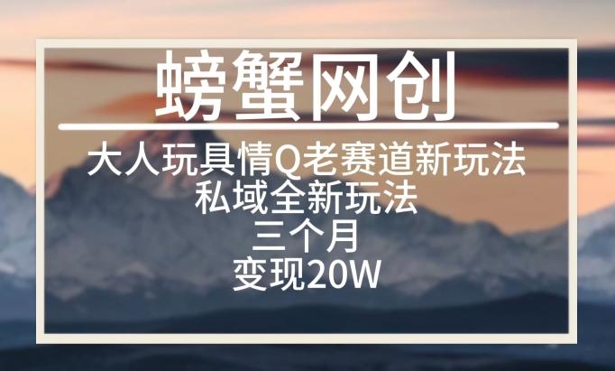 大人玩具情Q用品赛道私域全新玩法，三个月变现20W，老项目新思路【揭秘】-卿云社
