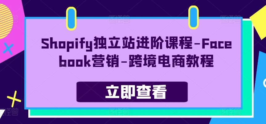 Shopify独立站进阶课程-Facebook营销-跨境电商教程-卿云社
