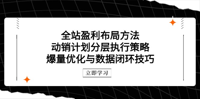 全站盈利布局方法：动销计划分层执行策略，爆量优化与数据闭环技巧-卿云社