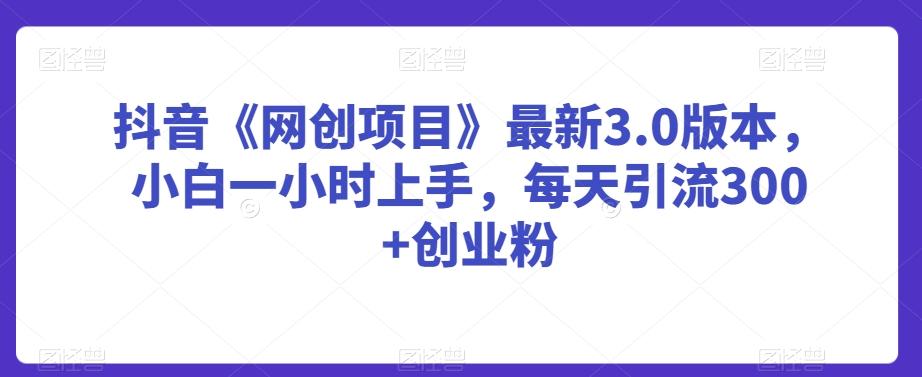 抖音《网创项目》最新3.0版本，小白一小时上手，每天引流300+创业粉【揭秘】-卿云社