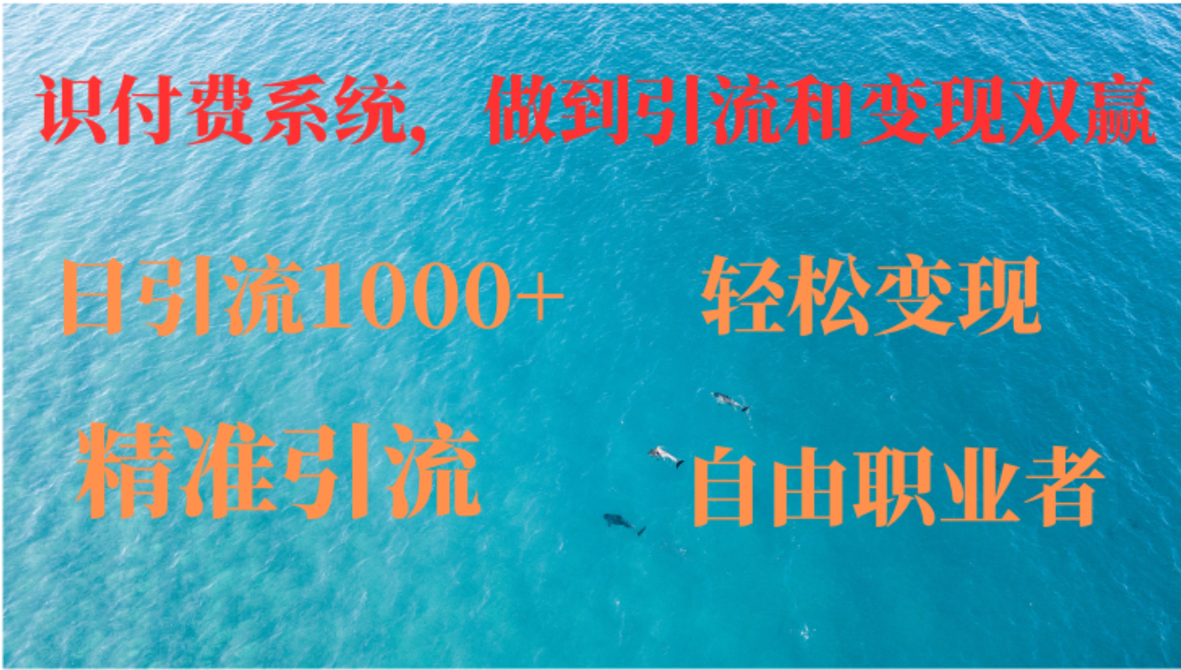 如何搭建自己的知识付费系统，做到引流和变现双赢-卿云社