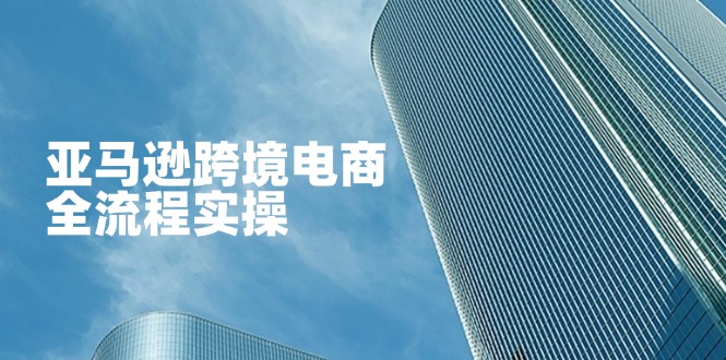 亚马逊跨境电商全流程实操，教你从零开始，掌握店铺运营与广告技巧-卿云社