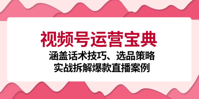 视频号运营宝典：涵盖话术技巧、选品策略、实战拆解爆款直播案例-卿云社