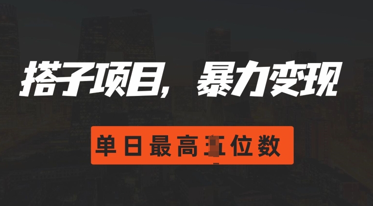 2024搭子玩法，0门槛，暴力变现，单日最高破四位数【揭秘】-卿云社