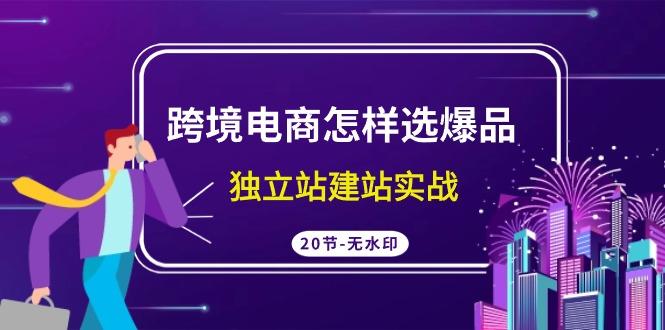 (9369期)跨境电商怎样选爆品，独立站建站实战(20节高清无水印课)-卿云社