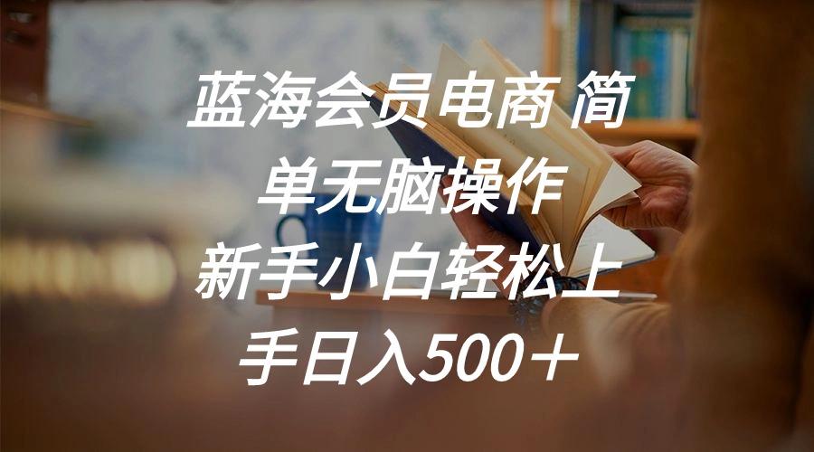 蓝海会员电商 简单无脑操作 新手小白轻松上手日入500＋-卿云社