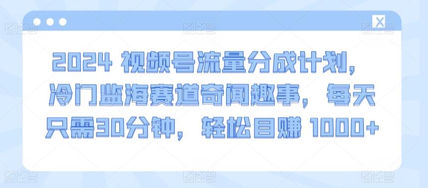 2024视频号流量分成计划，冷门监海赛道奇闻趣事，每天只需30分钟，轻松目赚 1000+【揭秘】-卿云社